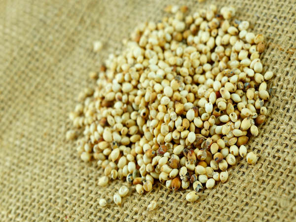 சோளம்