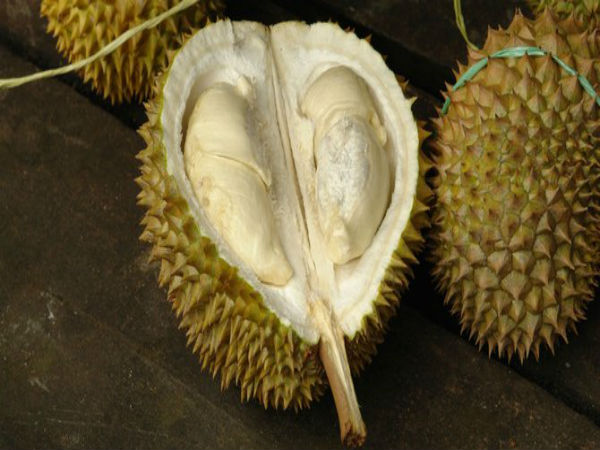 நோய்த்தொற்றுக்கள்
