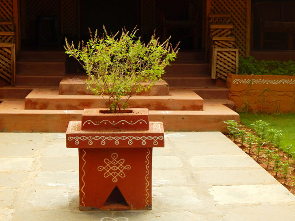புனித மரங்கள்