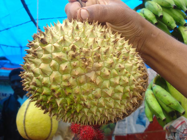அறிவாற்றல் வீழ்ச்சி