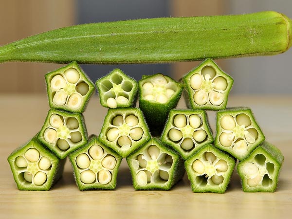 அதிகளவு நார்ச்சத்துக்கள்