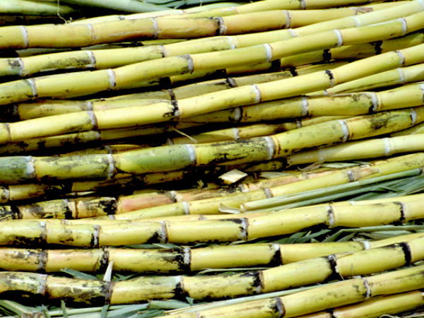 கரும்பு