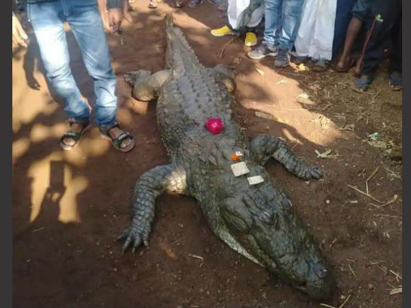 நடு கோவில்