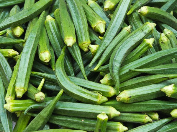 வெண்டைக்காயின் ஊட்டச்சத்துக்கள்