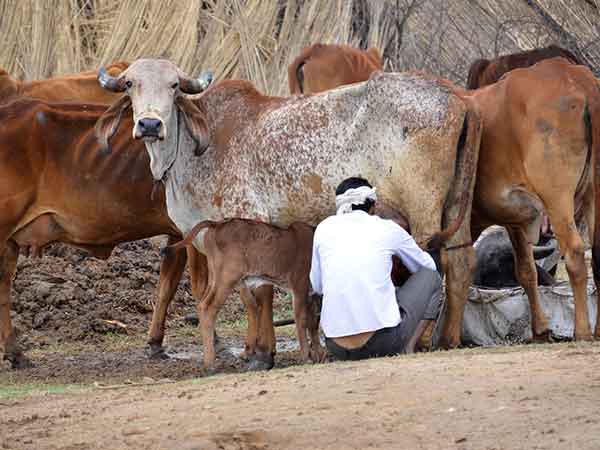 நிலைத்தன்மை