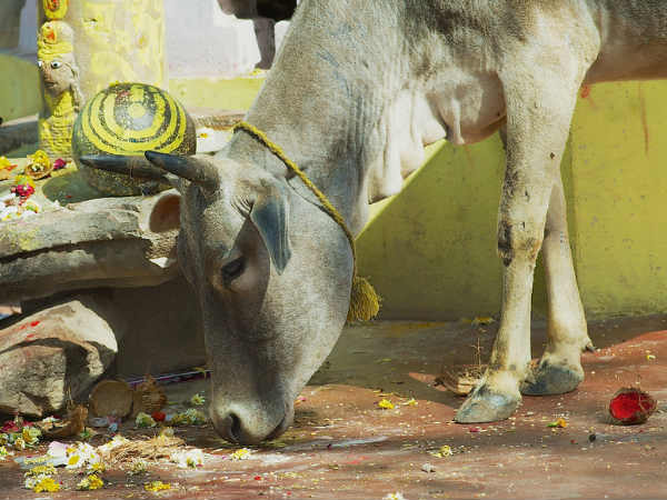 மேற்கத்திய கலாச்சாரம்