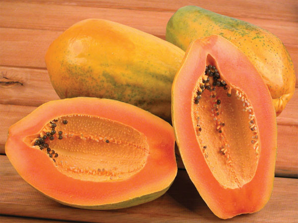 பப்பாளி இலை
