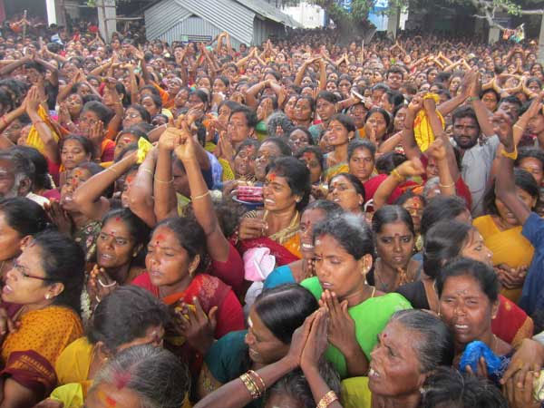 விவசாயத்தில் கவனம்