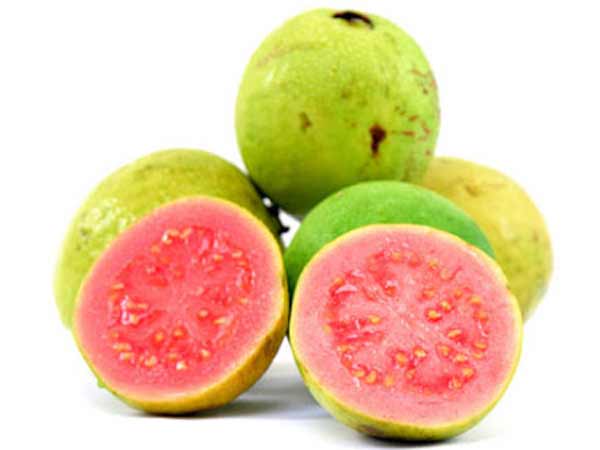 கொய்யா