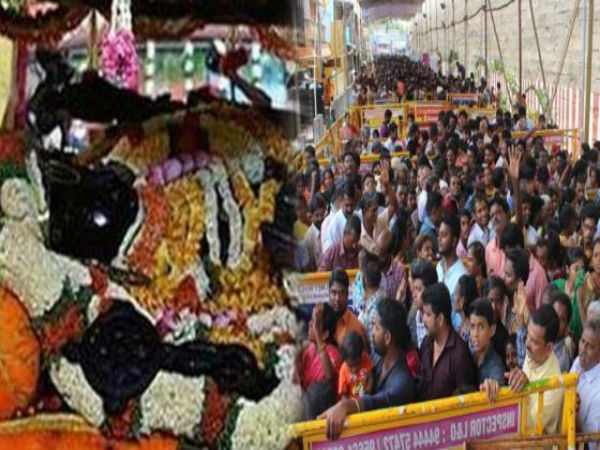 ஏன் அத்திமரம்