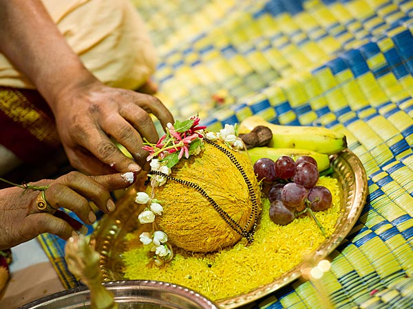 விதை