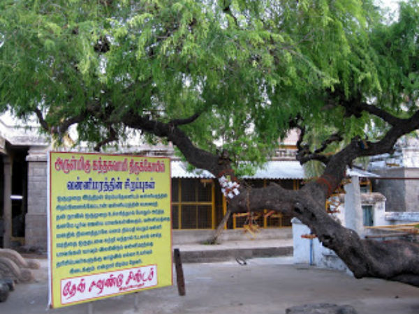 கும்ப ராசி