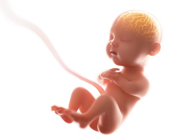 அதிக நுண்ணறிவு