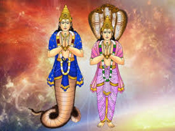 ஜோதிடத்தில் ராகு