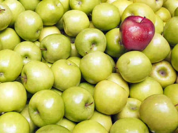 14 ஆயிரம் வகையா?