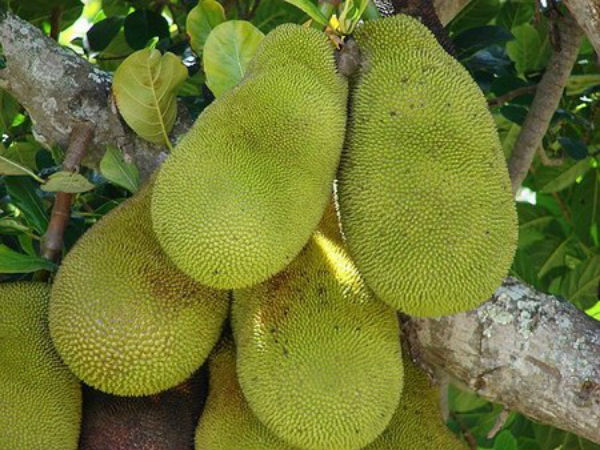 மிதுன ராசி