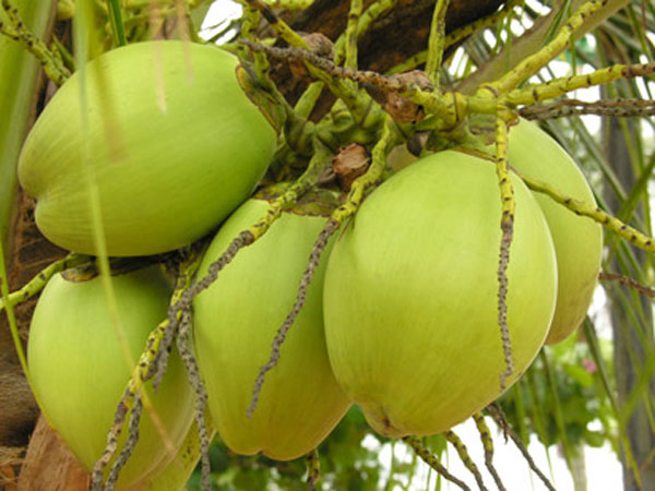 ஹேங்ஓவரை குறைக்க