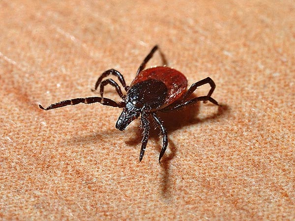 கண்டறிவது கடினம்
