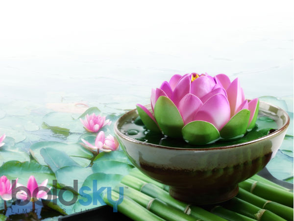 செந்தாமரை மலர்