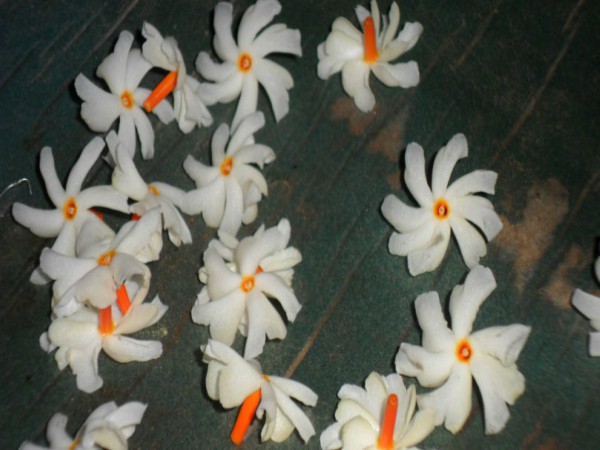 பக்க விளைவுகள்