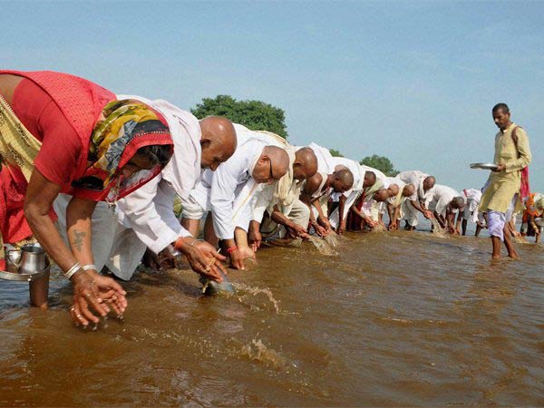 காகத்திற்கும் மனிதர்களுக்கும் தொடர்பு