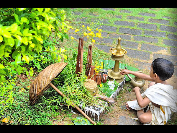 அறுவடைத்திருவிழா