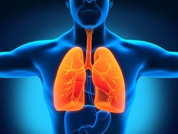 நாள்பட்ட நுரையீரல் அடைப்பு நோய் (Chronic Obstructive Pulmonary Disease)