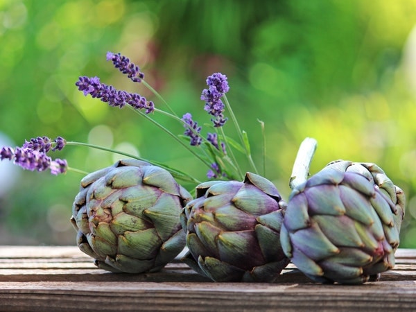கூனைப்பூ (Artichoke)