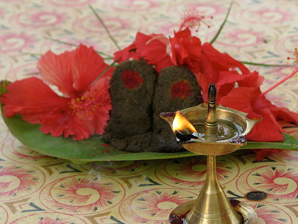 சர்ப்ப தோஷம் நீங்கும்