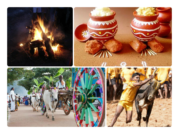 தை பொங்கல்