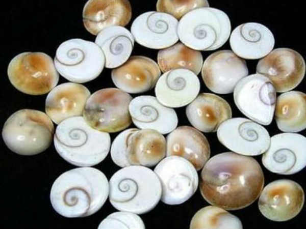 கோமதி சக்கரம்