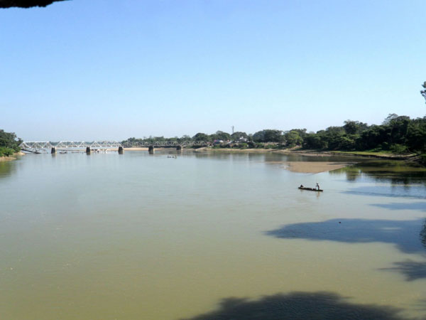 சிவப்பு நிற பிரம்மபுத்திரா