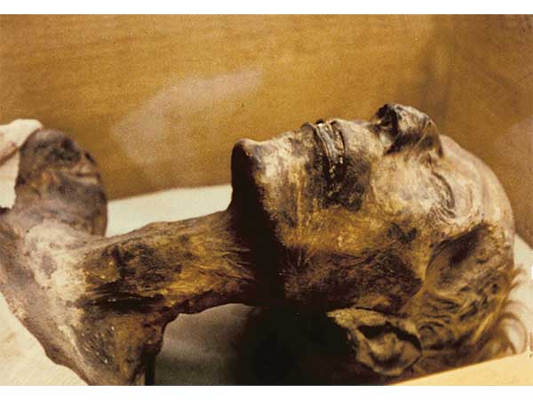 முர்ரேவின் துரதிர்ஷ்டம்