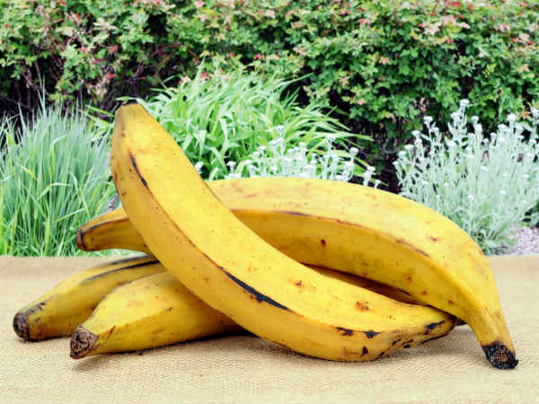 சளியைத் தேக்கும் உணவுகள்