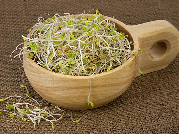 முளைகட்டிய பயிர்கள்
