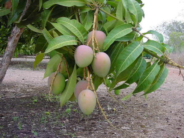 குழந்தைகள்