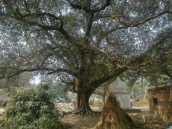 குறிப்பு 8