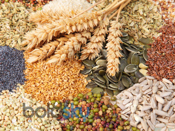 முழு தானியங்கள்