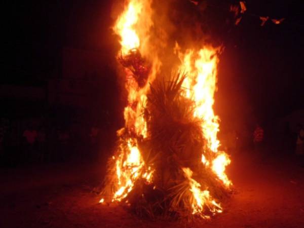 சொக்கப்பனை