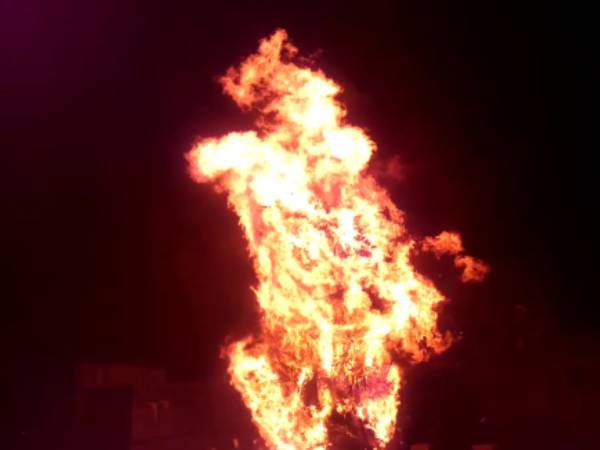 சொர்க்கப்பனை