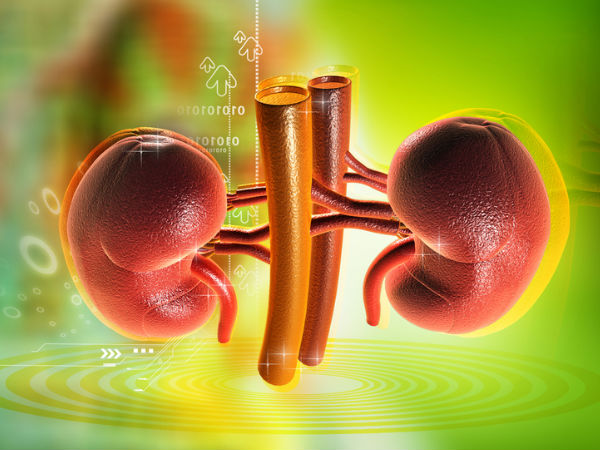 சிறுநீரக மற்றும் கல்லீரல் பிரச்சனைகள்