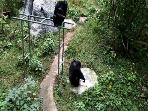 கற்பிக்கவில்லை