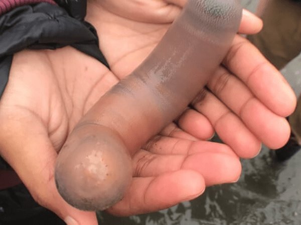 ஆச்சிரியமாக பார்க்கும் மக்கள்