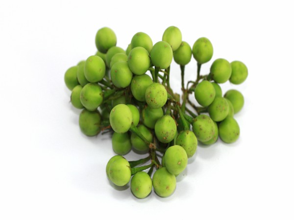சுண்டைக்காய்