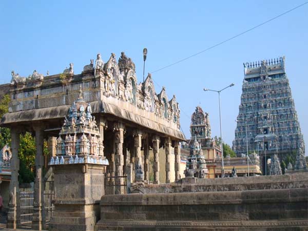 வாய்பிளக்கும் விஞ்ஞானிகள்