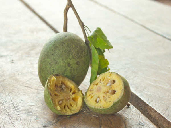 விளாம் பழம்