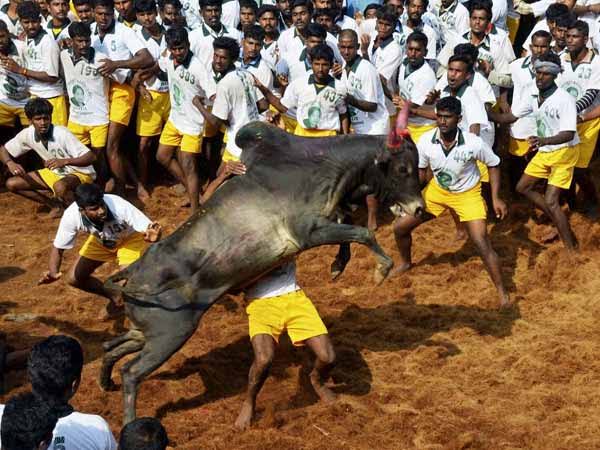 இந்த ஆண்டு எப்போது நடக்கிறது?