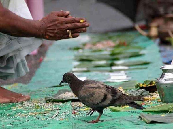 ஆசீர்வதிக்கும் பித்ருக்கள்