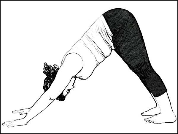 அதோ முக ஸ்வனாசனா (Downward-Facing Dog)