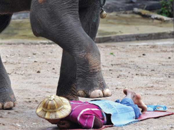 நசுக்குவது